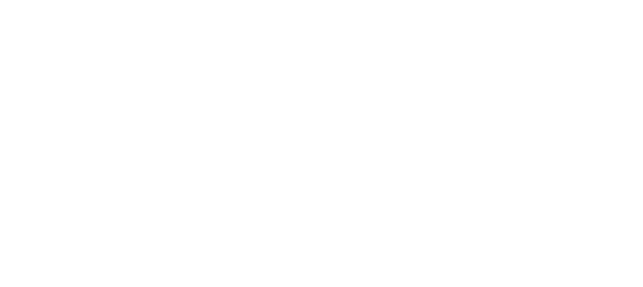 İzmir Vip Taşıma Hizmeti